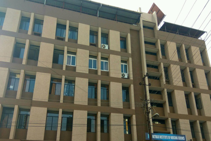Nethaji Institute of Nursing Sciences